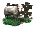 A Sheep Slain Before The Foundation of the World